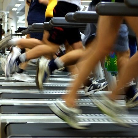 Multiple People Running on Treadmill